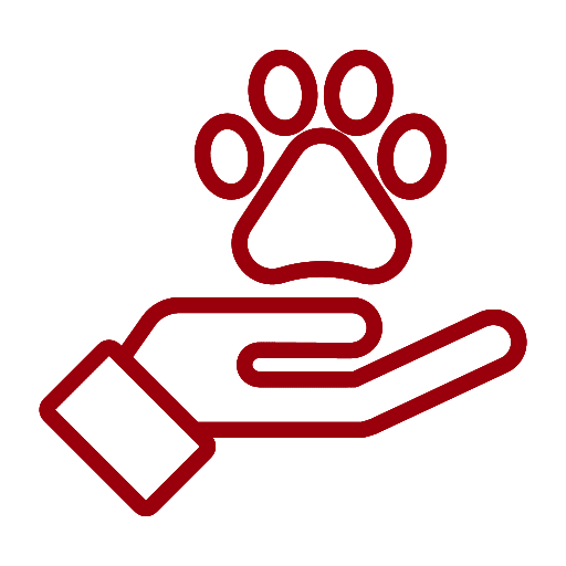animal_hand_heart_pet_paw_icon supportive icon
